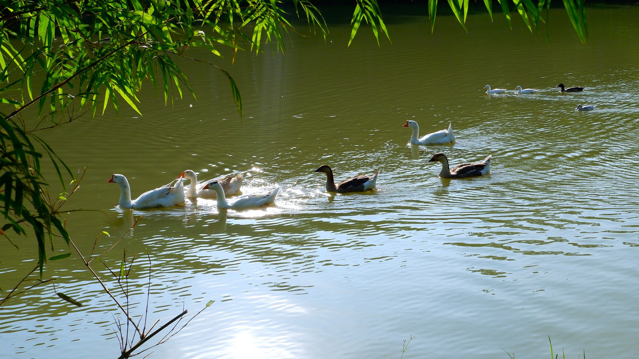 Katiliya Natural Park