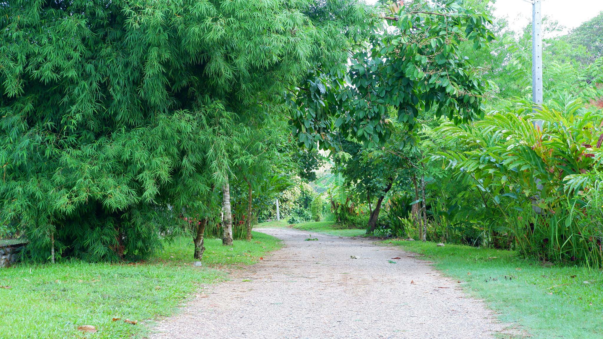 Katiliya Natural Park