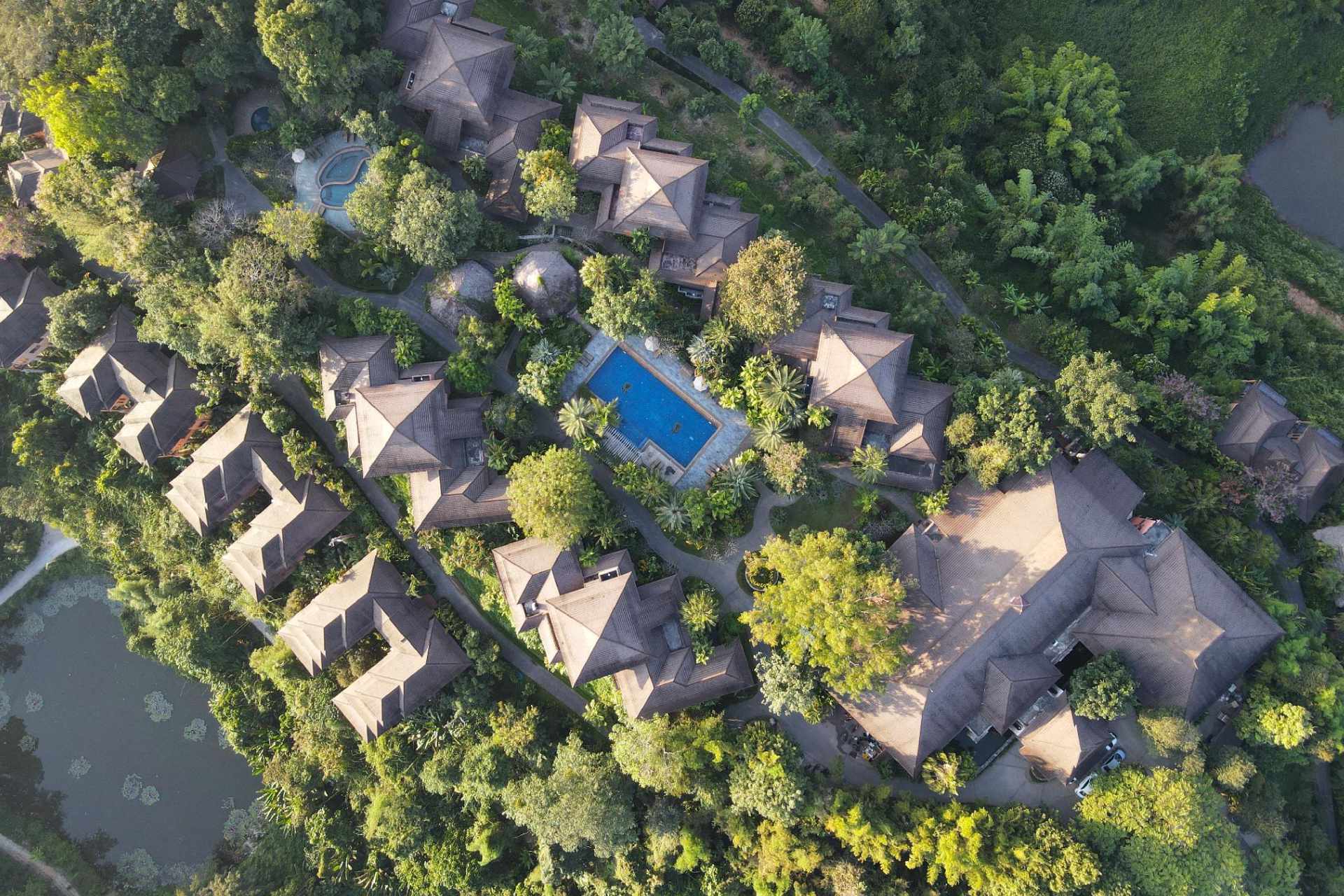 Overview