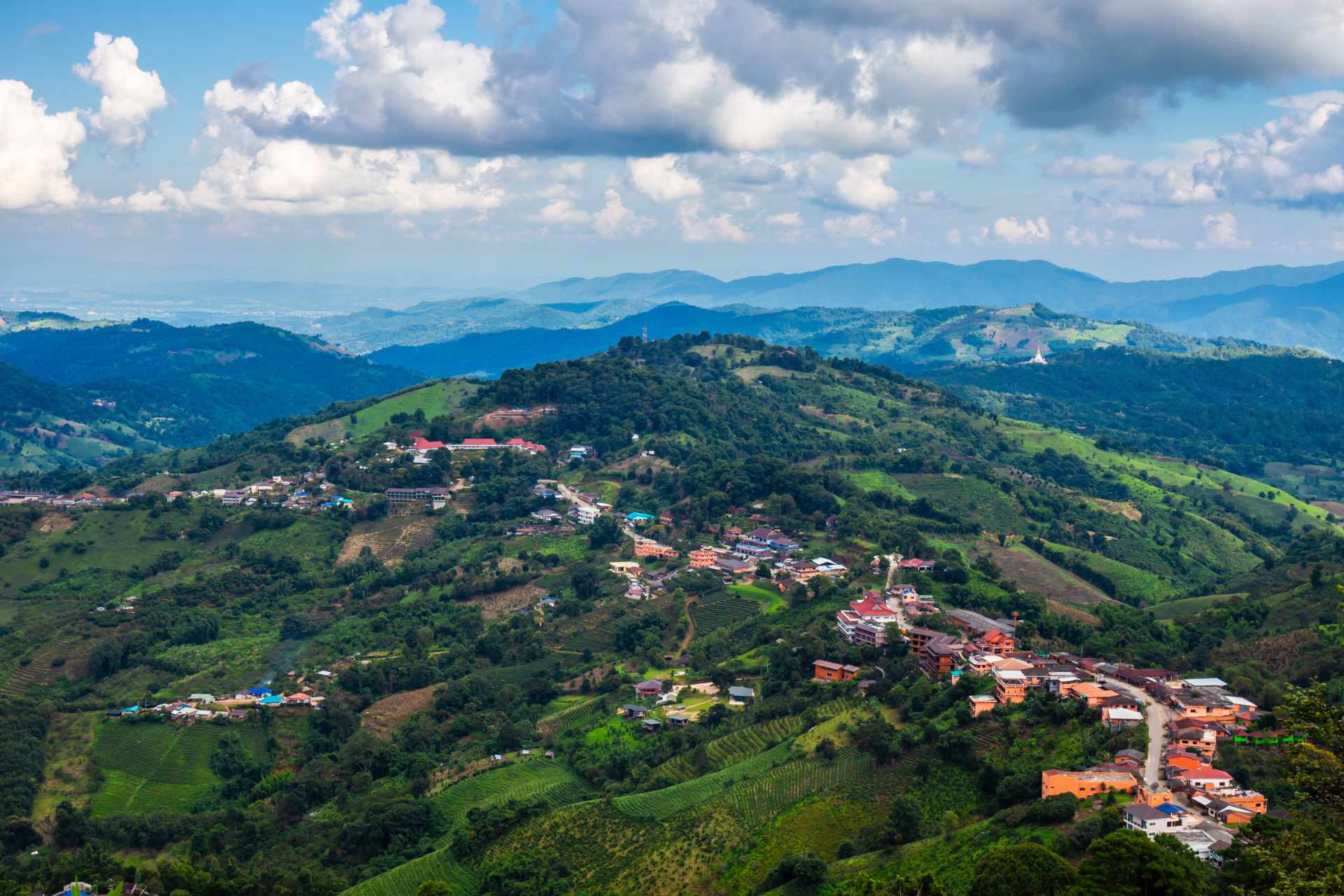 Doi Mae Salong
